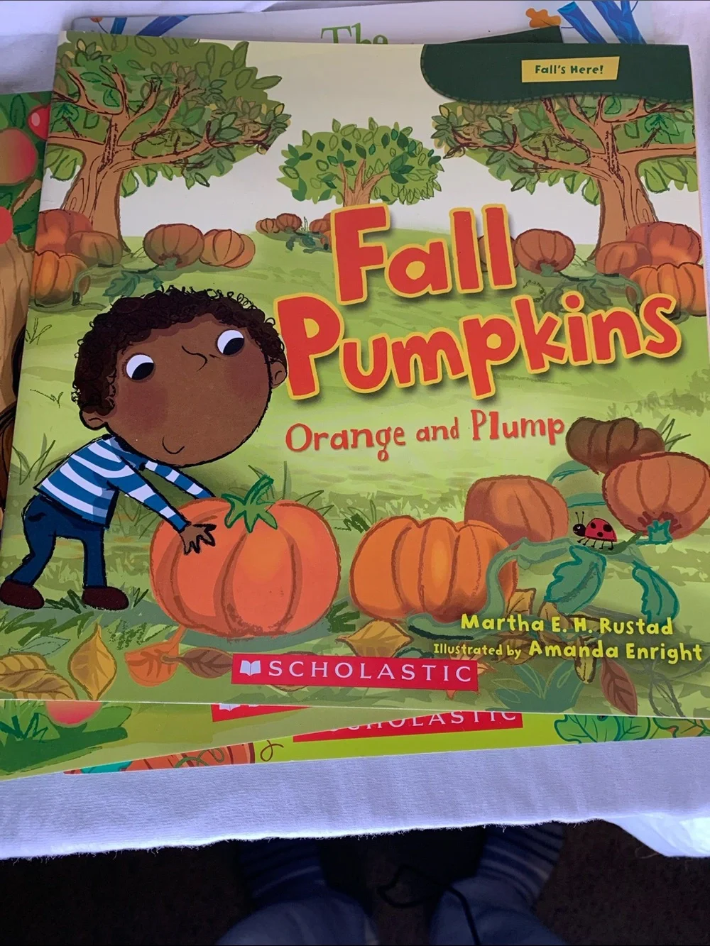 Scholastic Childrens book Bundle